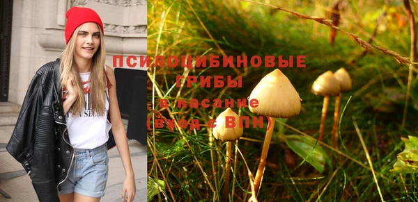 винт Алексин
