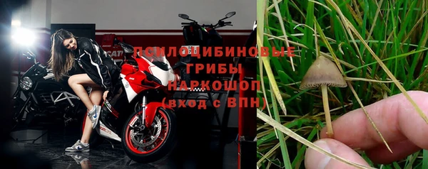 винт Алексин